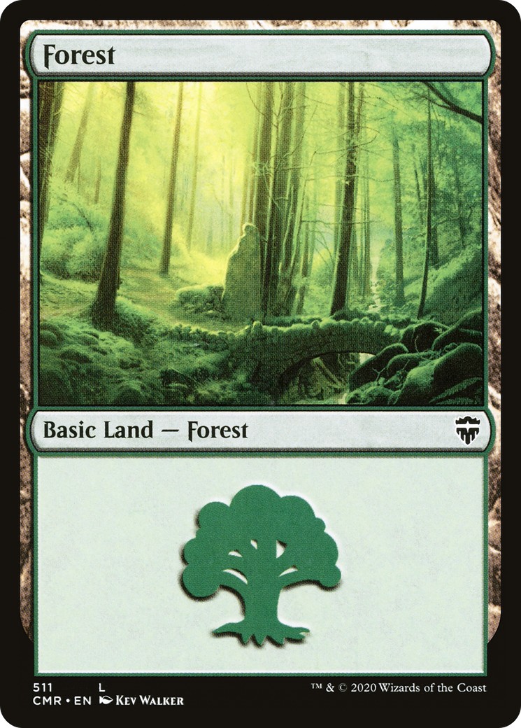 Forest - Image 1