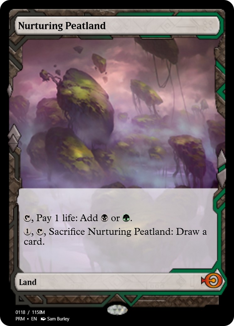 Nurturing Peatland - Image 1