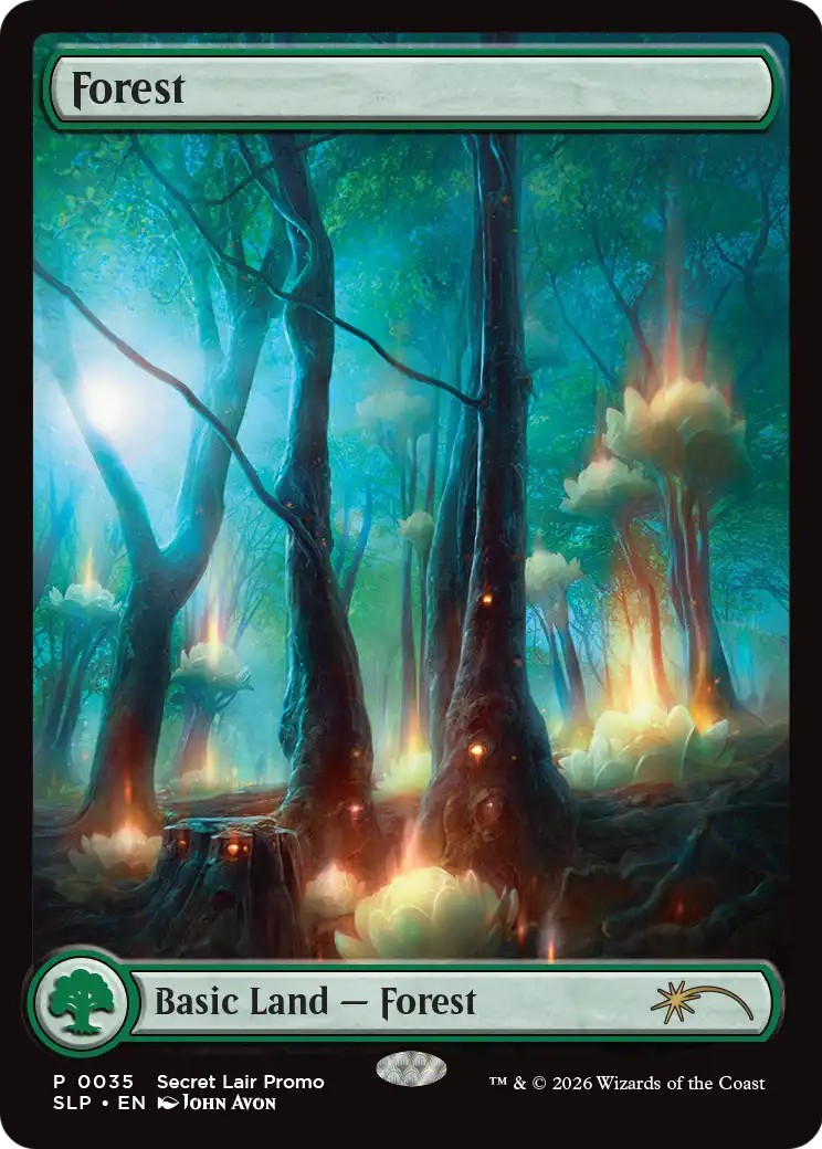 Forest - Image 1