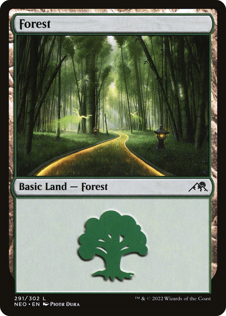 Forest - Image 1