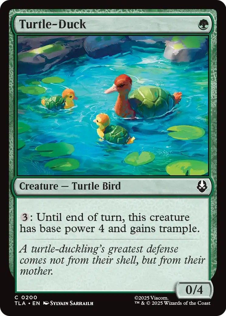 Turtle-Duck - Image 1