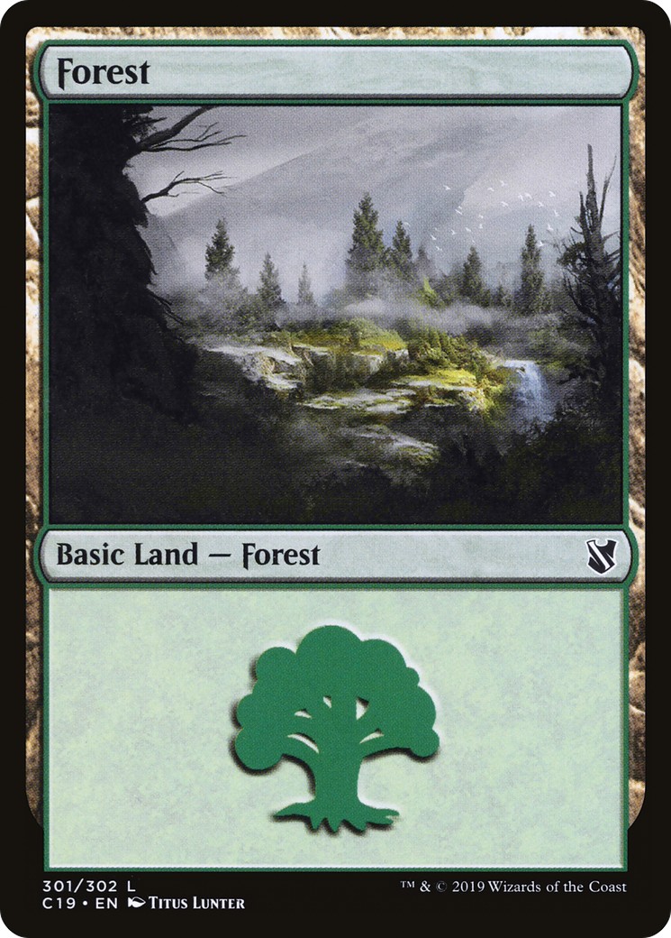 Forest - Image 1