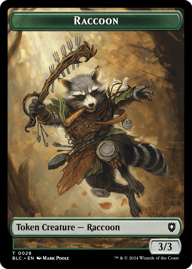 Raccoon - Image 1