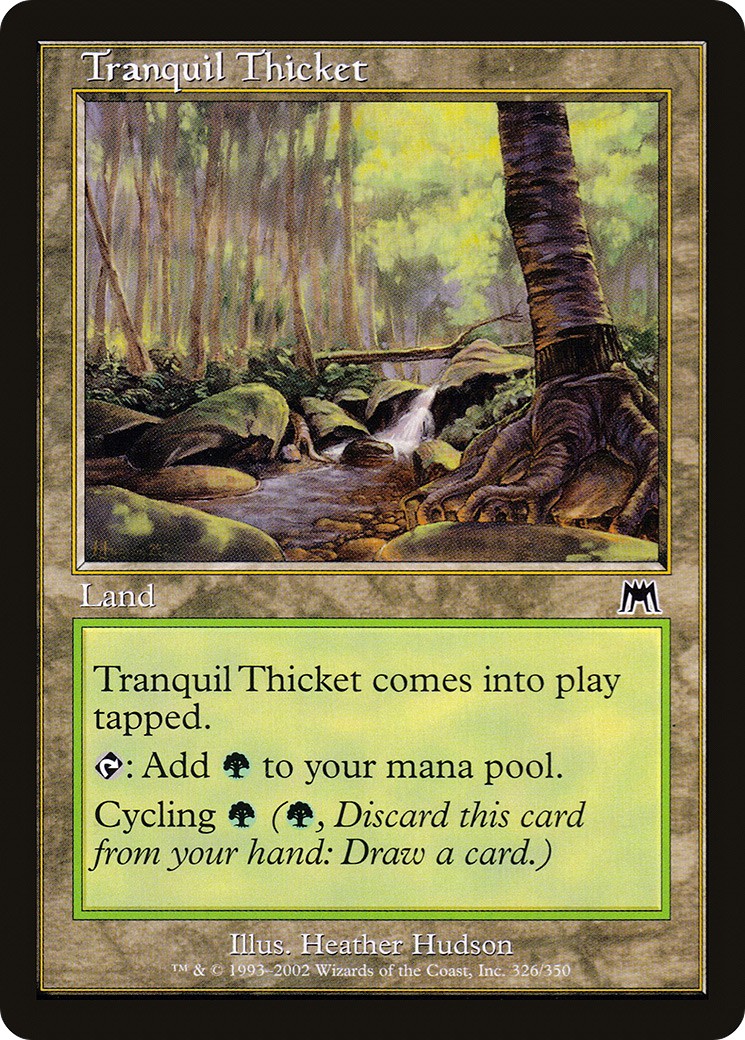 Tranquil Thicket - Image 1