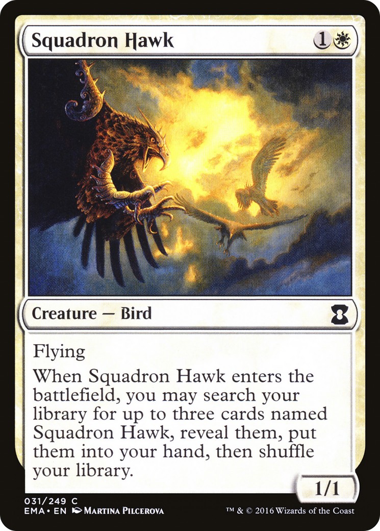 Squadron Hawk - Image 1