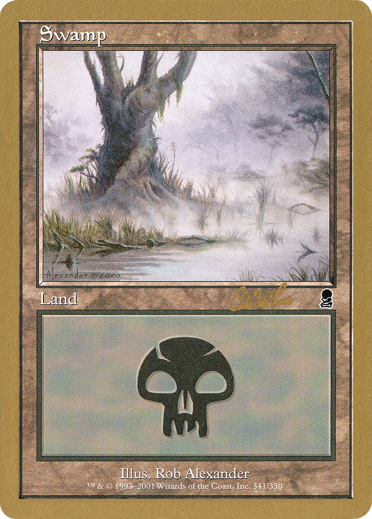 Swamp - Image 1