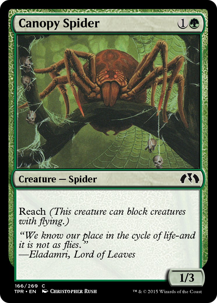 Canopy Spider - Image 1