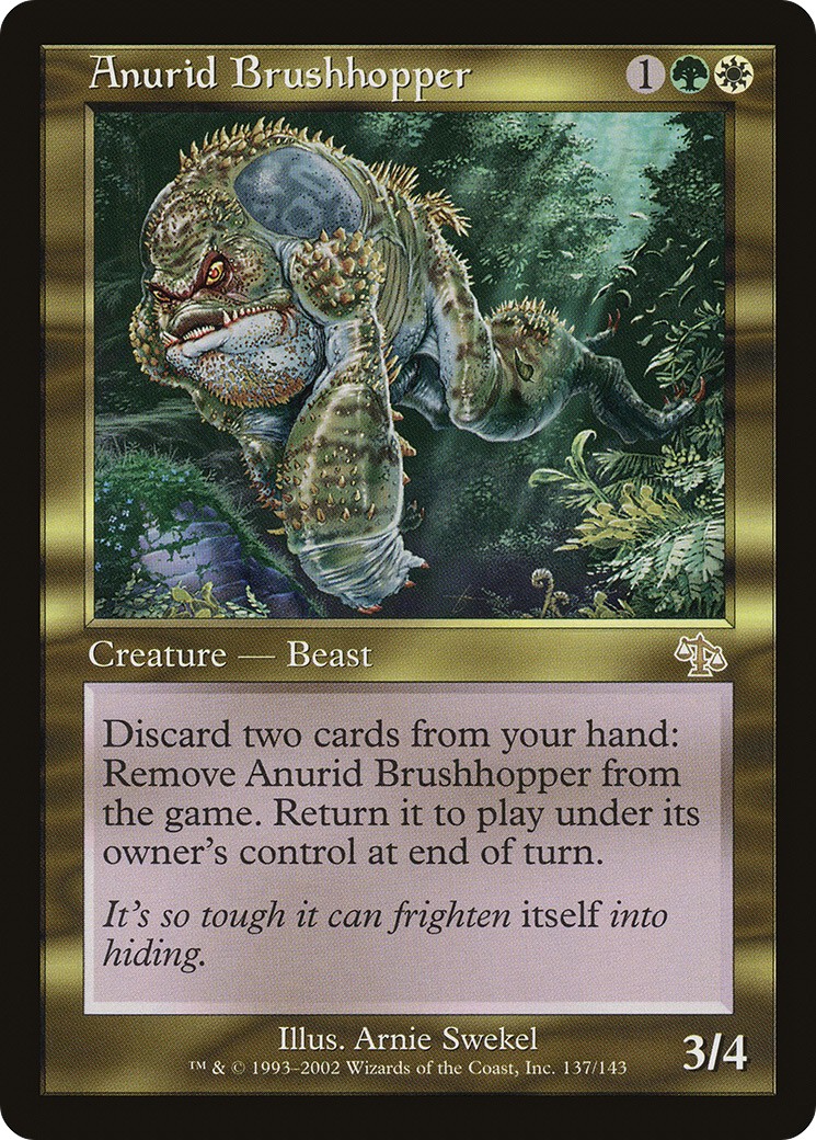 Anurid Brushhopper - Image 1