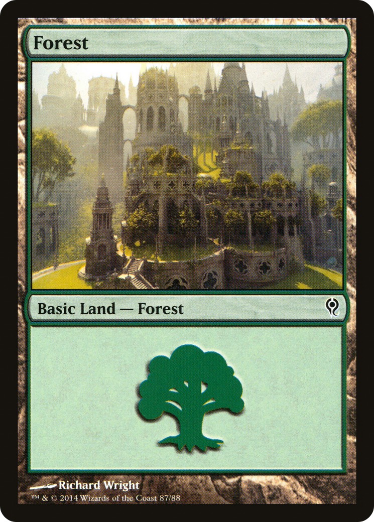 Forest - Image 1