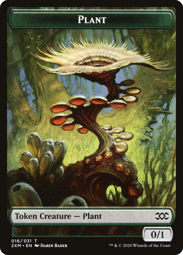 Plant - Image 1