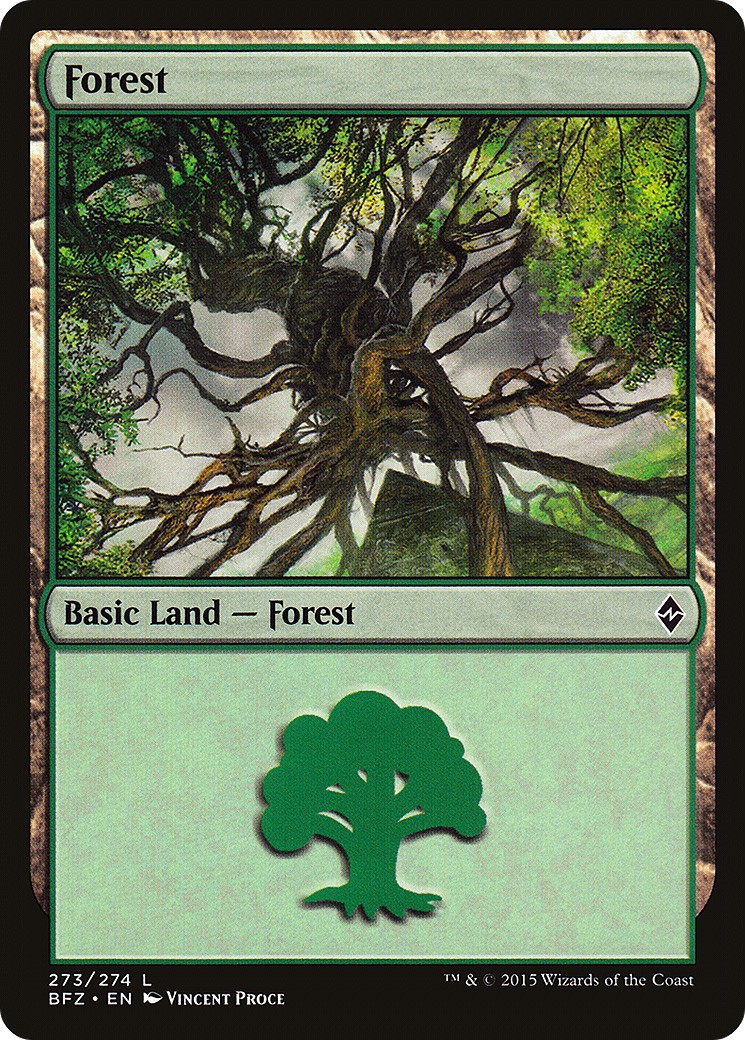 Forest - Image 1