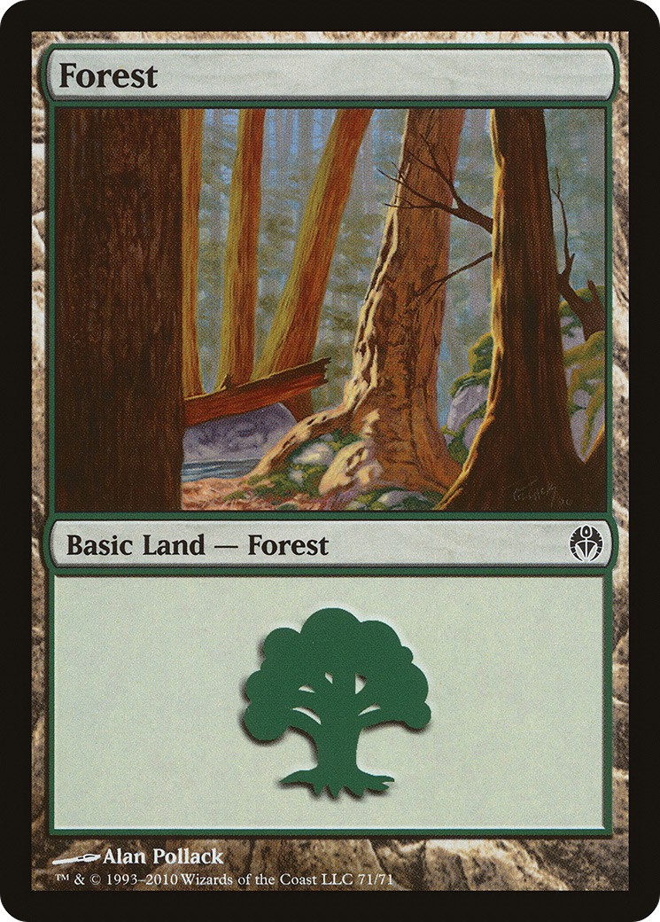 Forest - Image 1