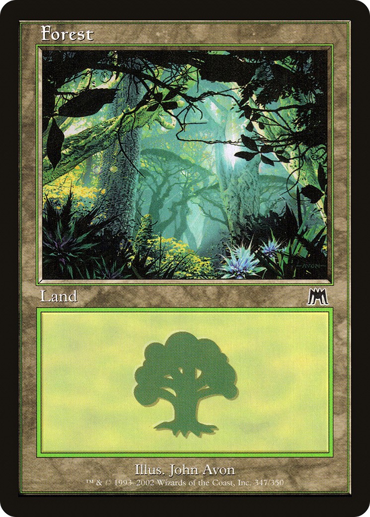 Forest - Image 1