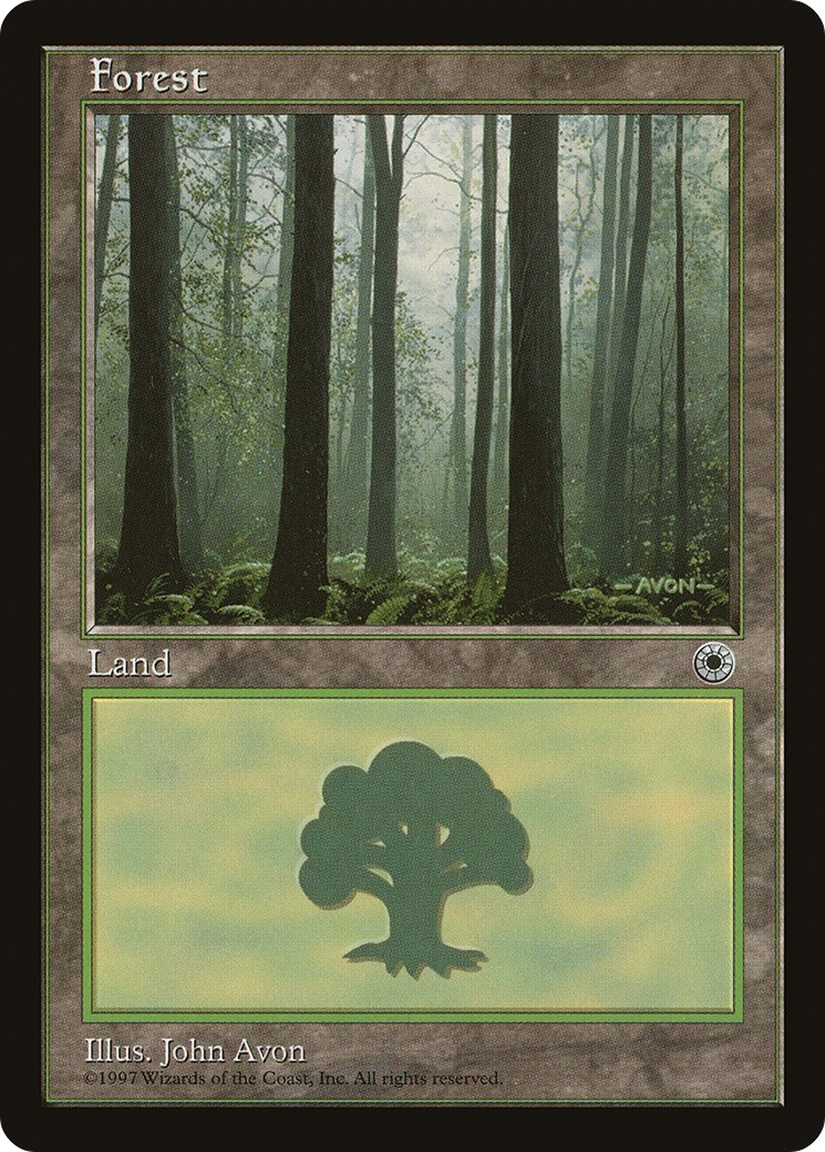Forest - Image 1