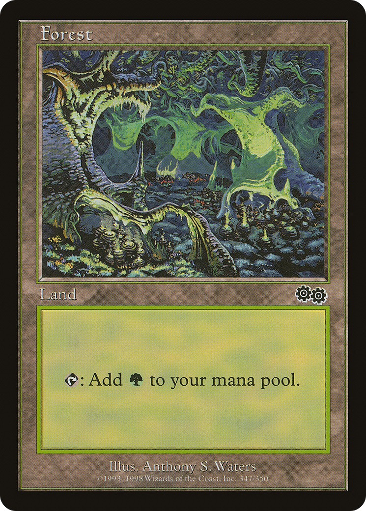 Forest - Image 1
