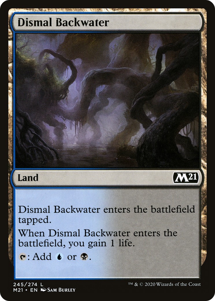 Dismal Backwater - Image 1
