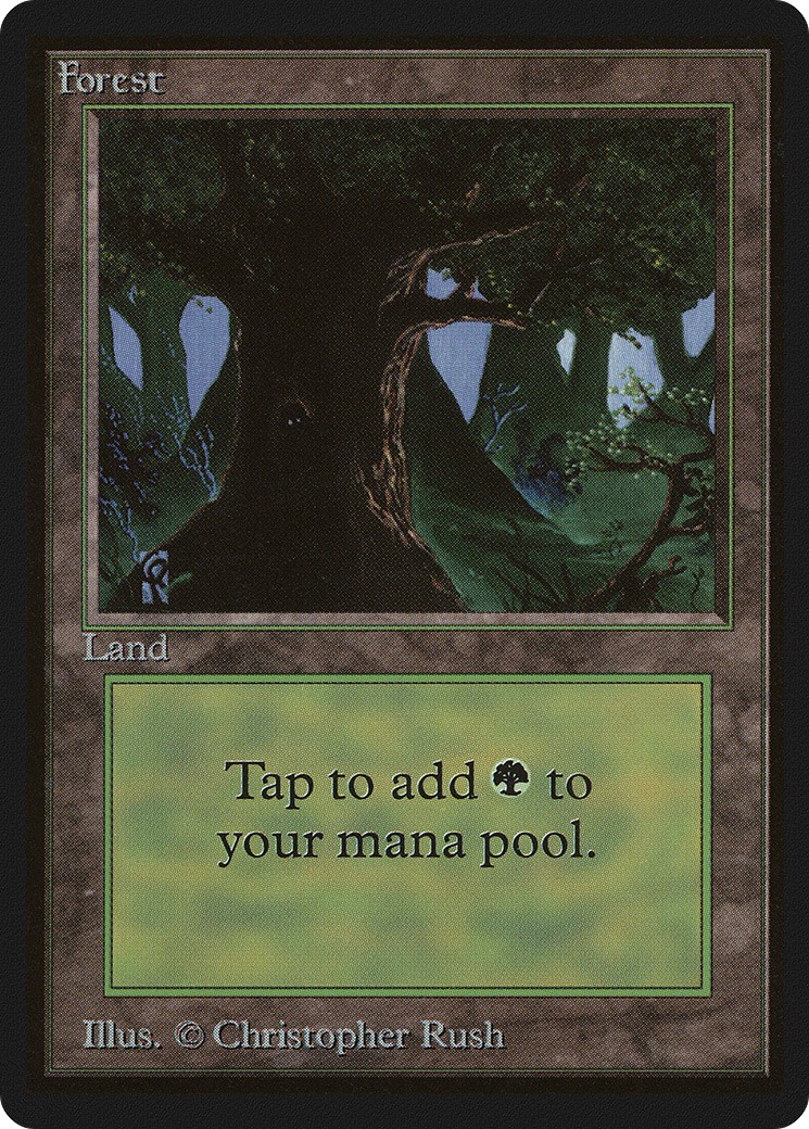 Forest - Image 1