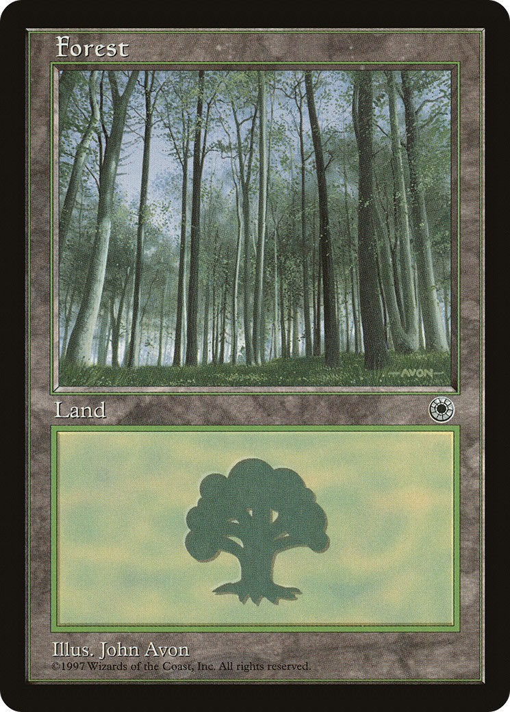 Forest - Image 1