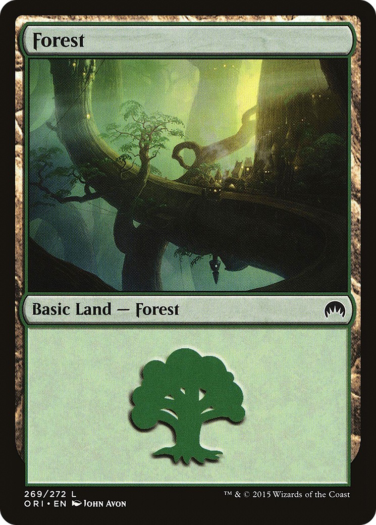 Forest - Image 1