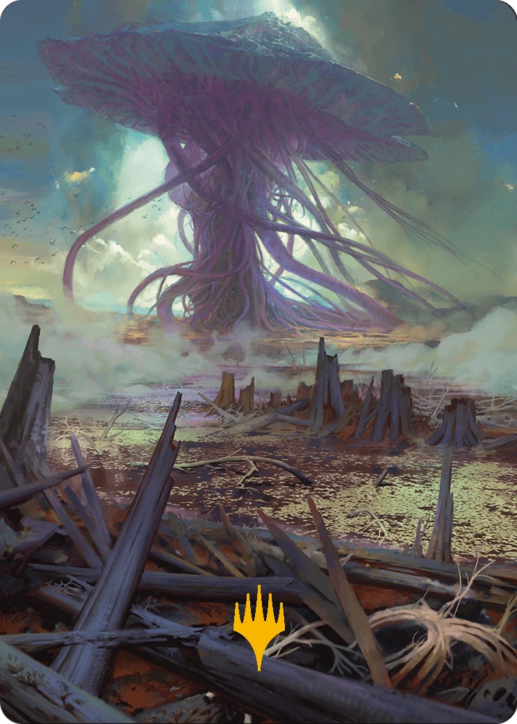 Swamp // Swamp - Image 1