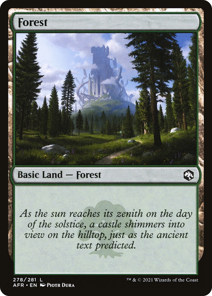 Forest - Image 1