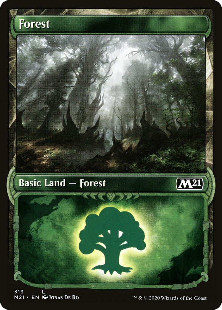 Forest - Image 1