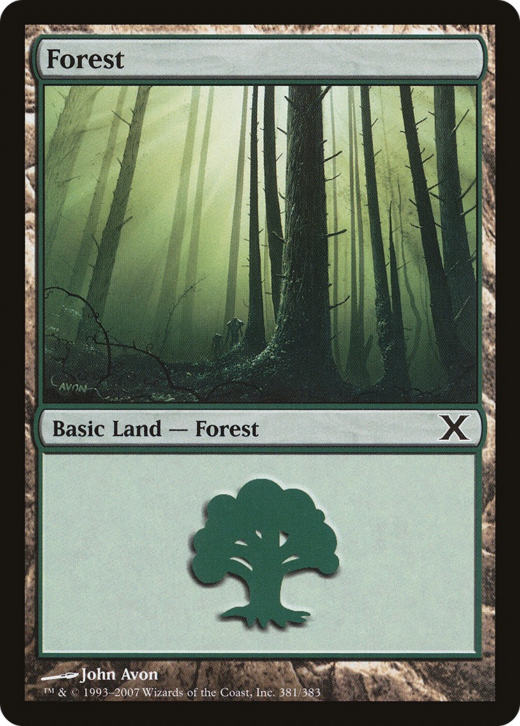 Forest - Image 1
