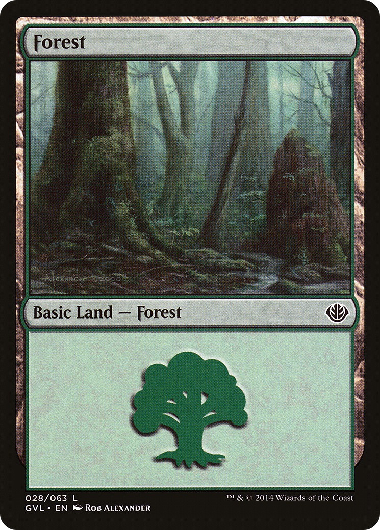 Forest - Image 1