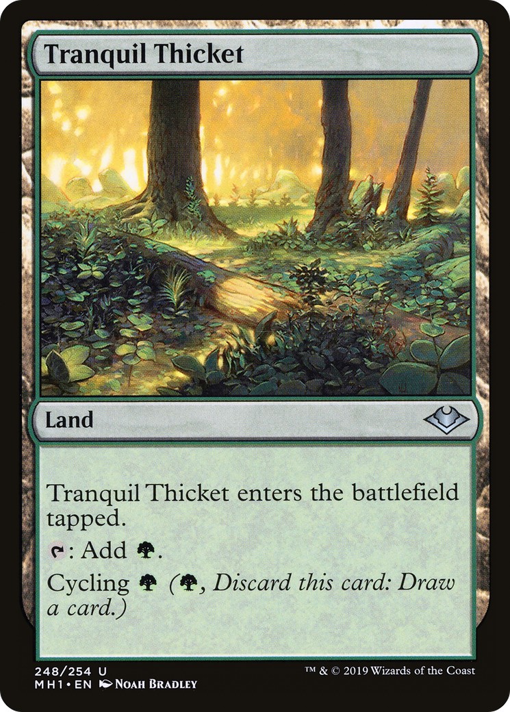Tranquil Thicket - Image 1