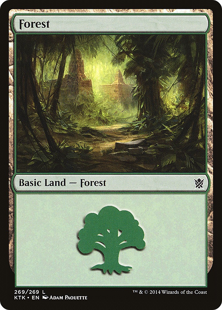 Forest - Image 1