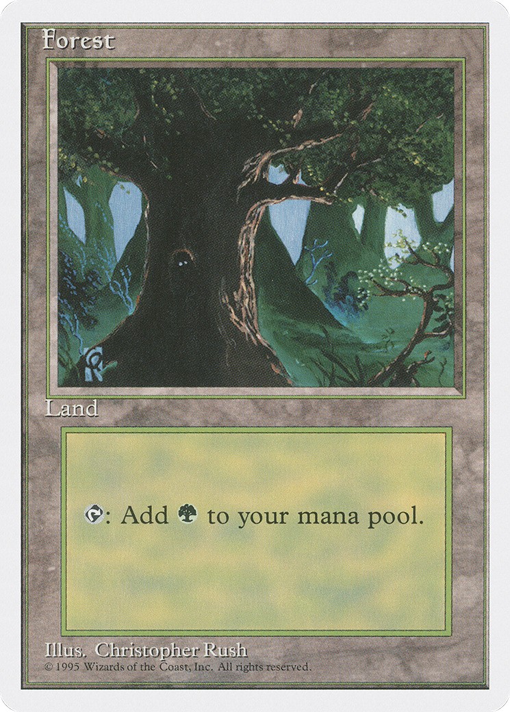 Forest - Image 1