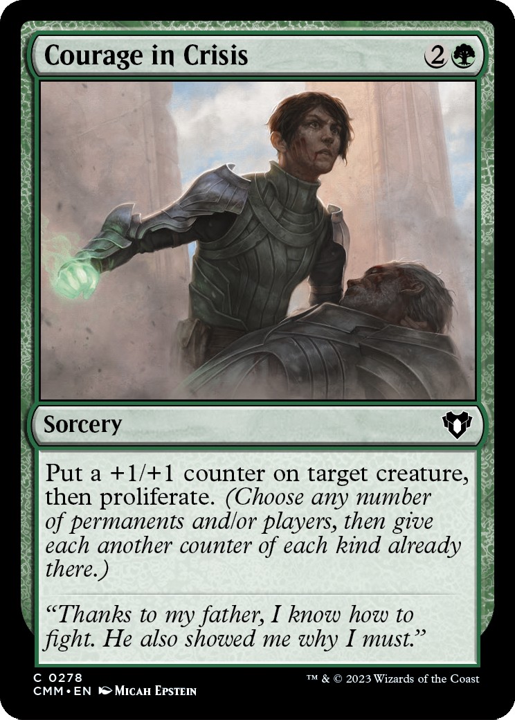 Courage in Crisis - Image 1