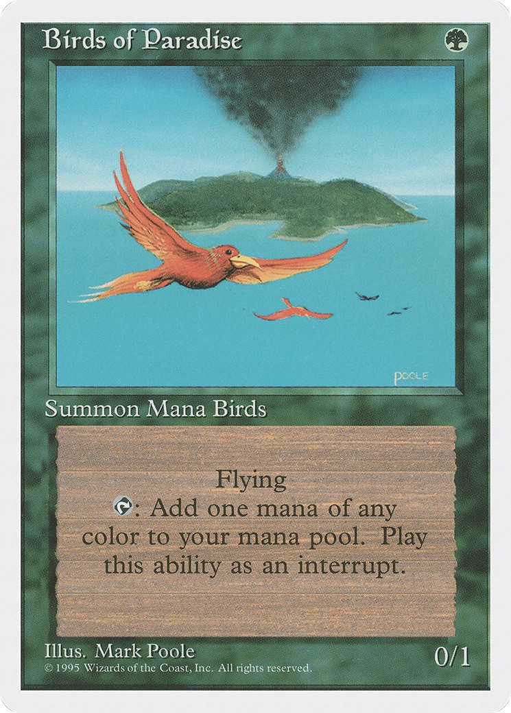 Birds of Paradise - Image 1