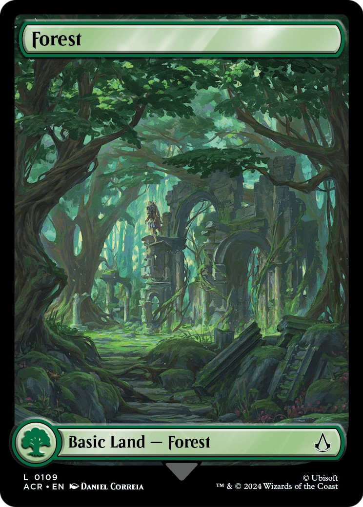 Forest - Image 1