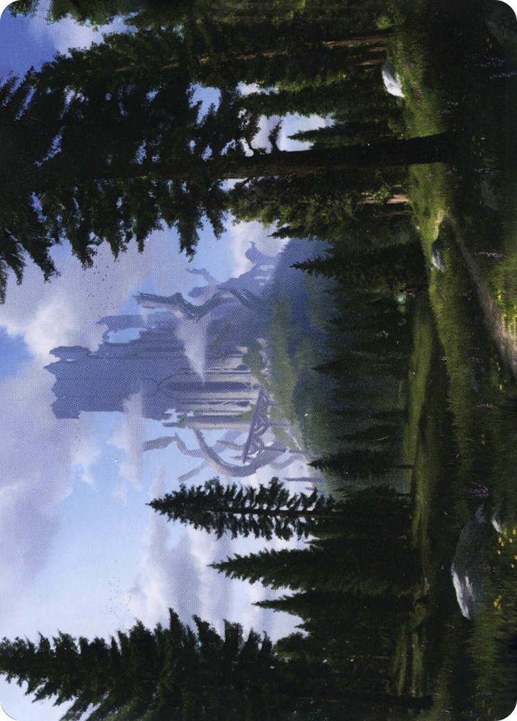 Forest // Forest - Image 1