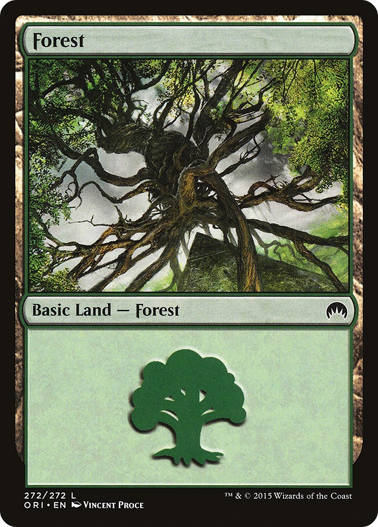 Forest - Image 1