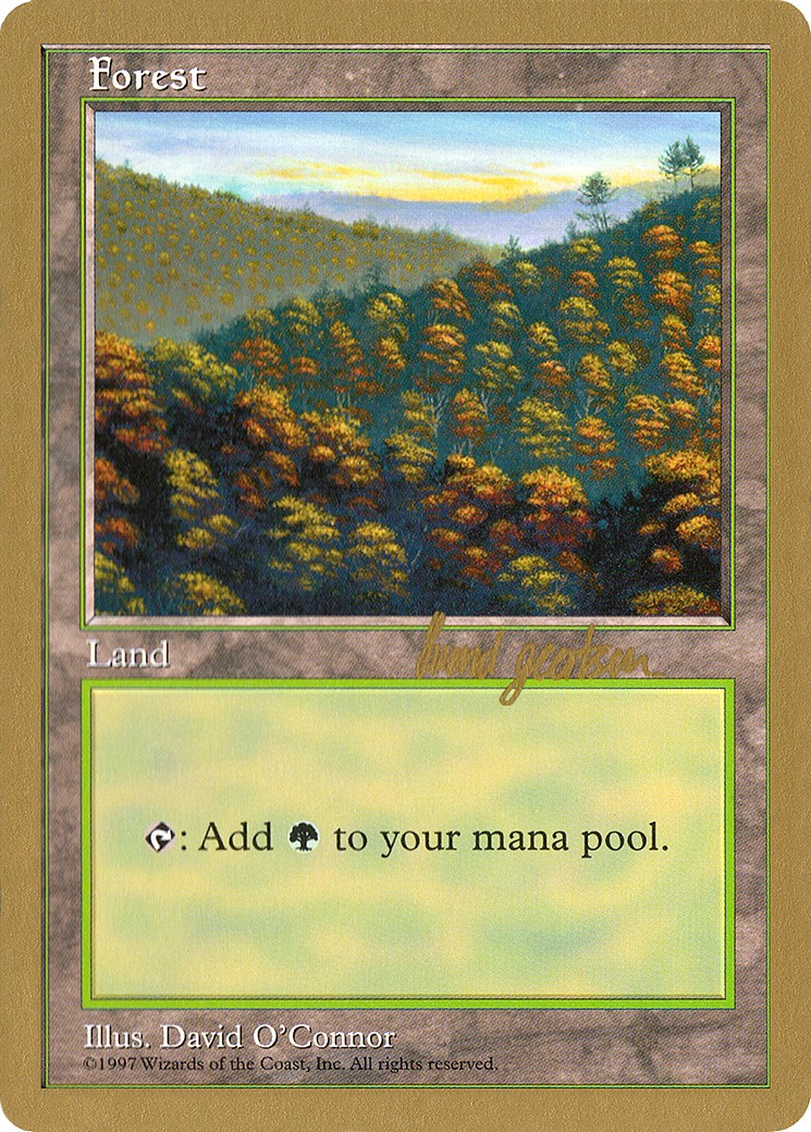 Forest - Image 1