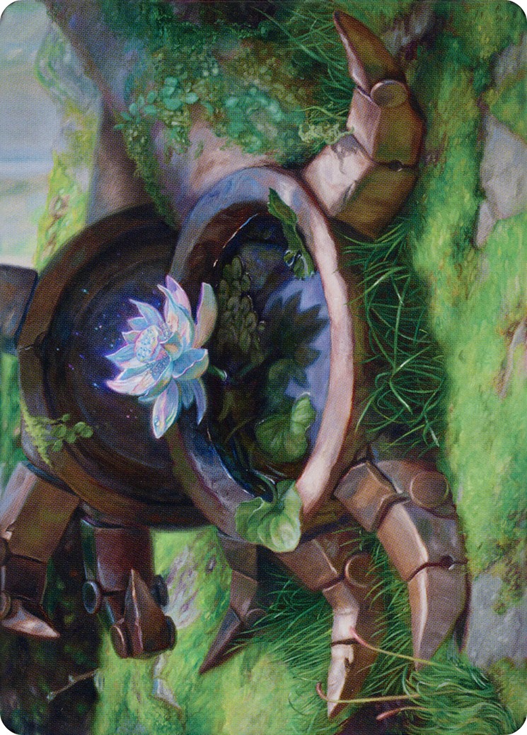Timeless Lotus // Timeless Lotus - Image 1