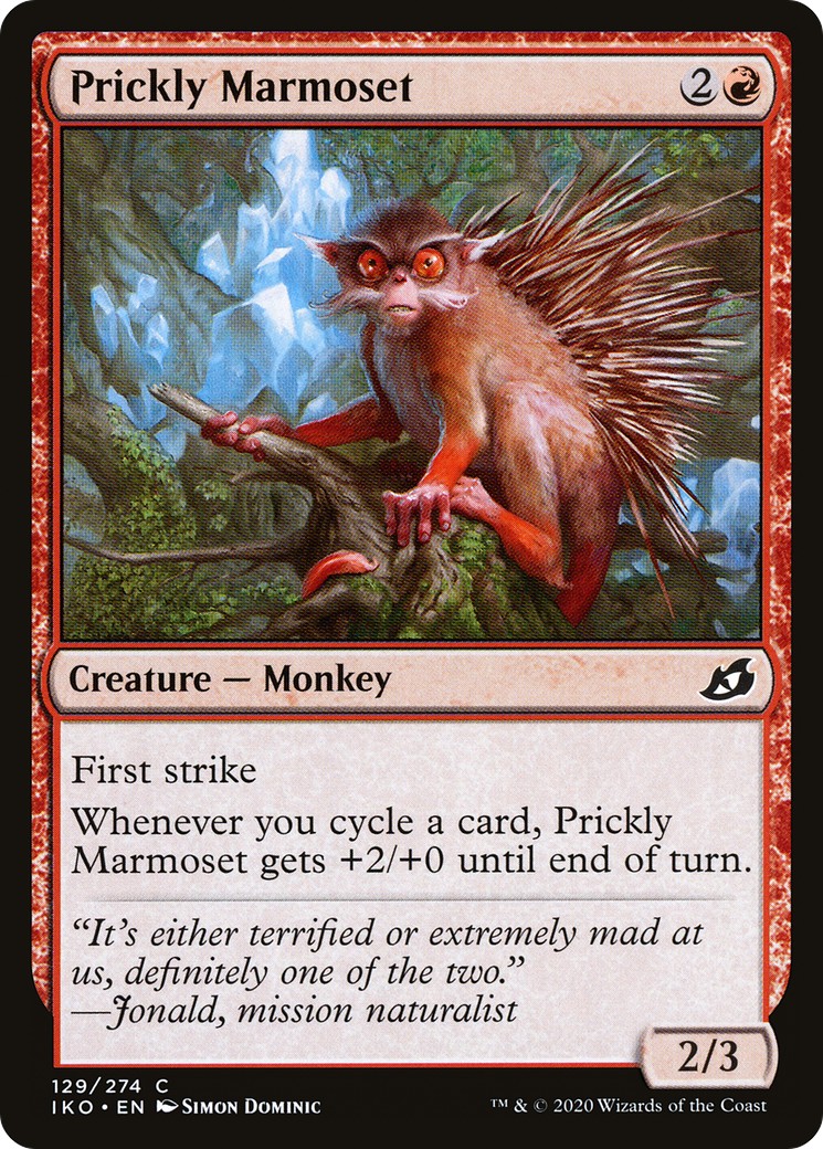 Prickly Marmoset - Image 1