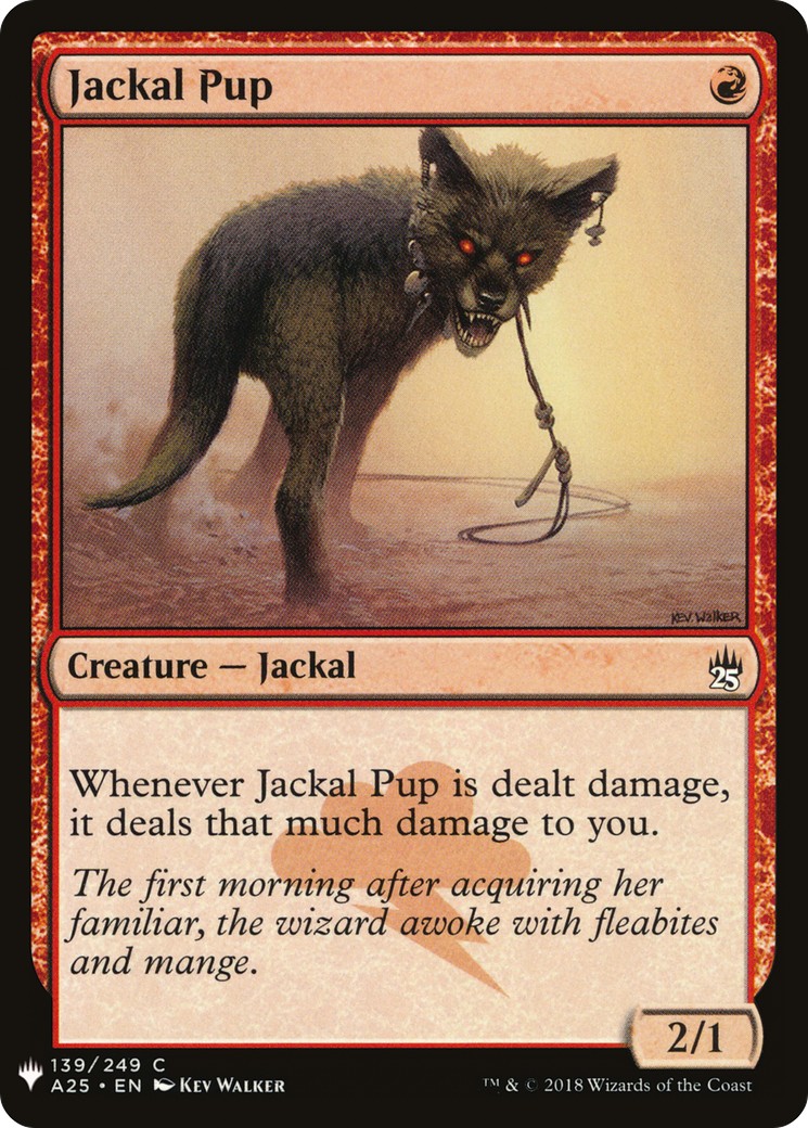 Jackal Pup - Image 1