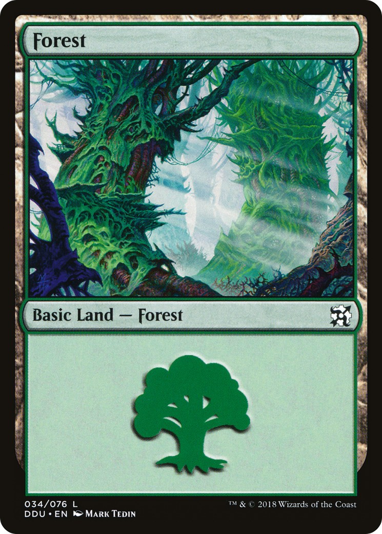 Forest - Image 1