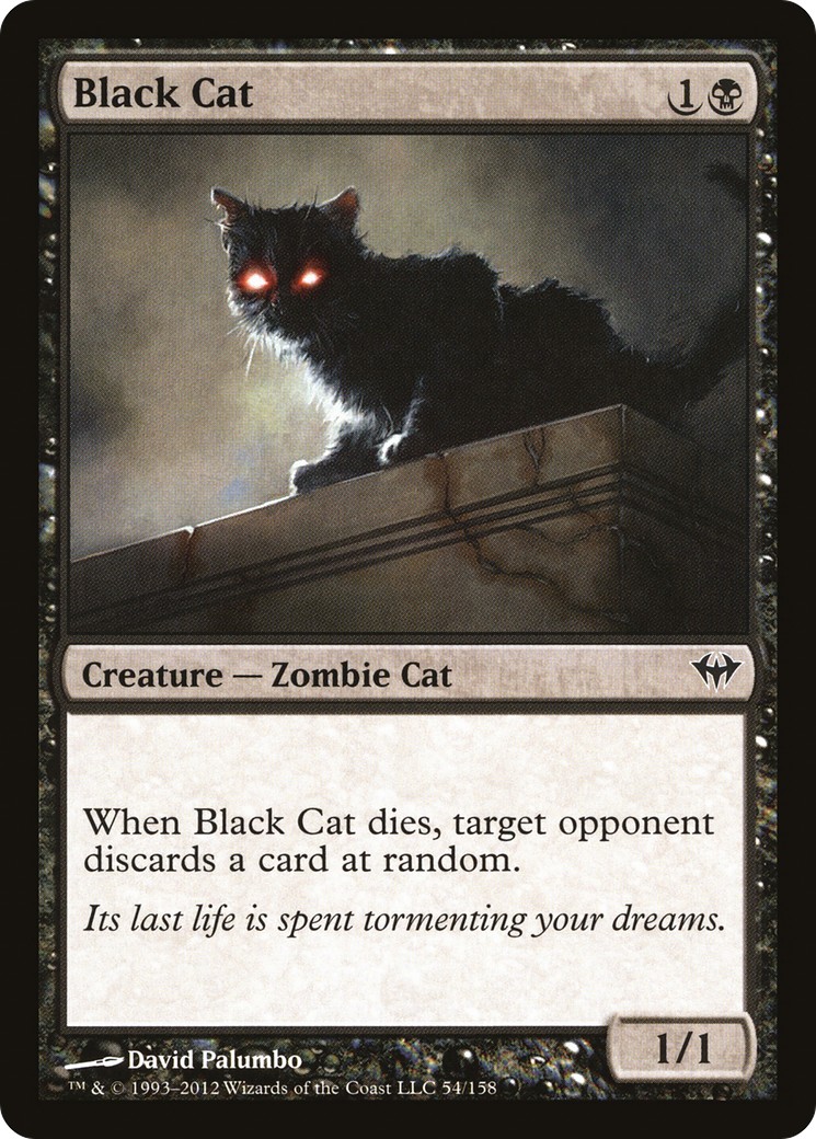Black Cat - Image 1