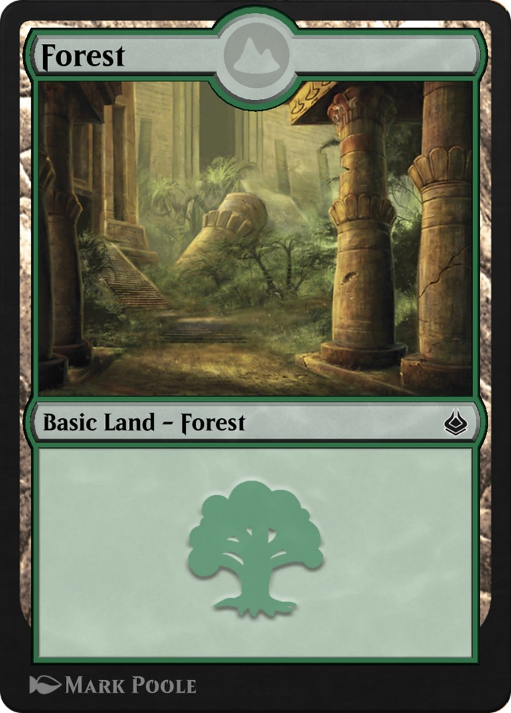 Forest - Image 1