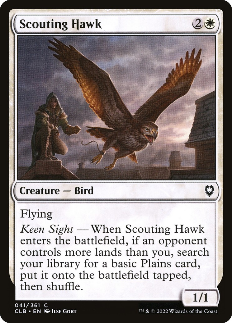 Scouting Hawk - Image 1