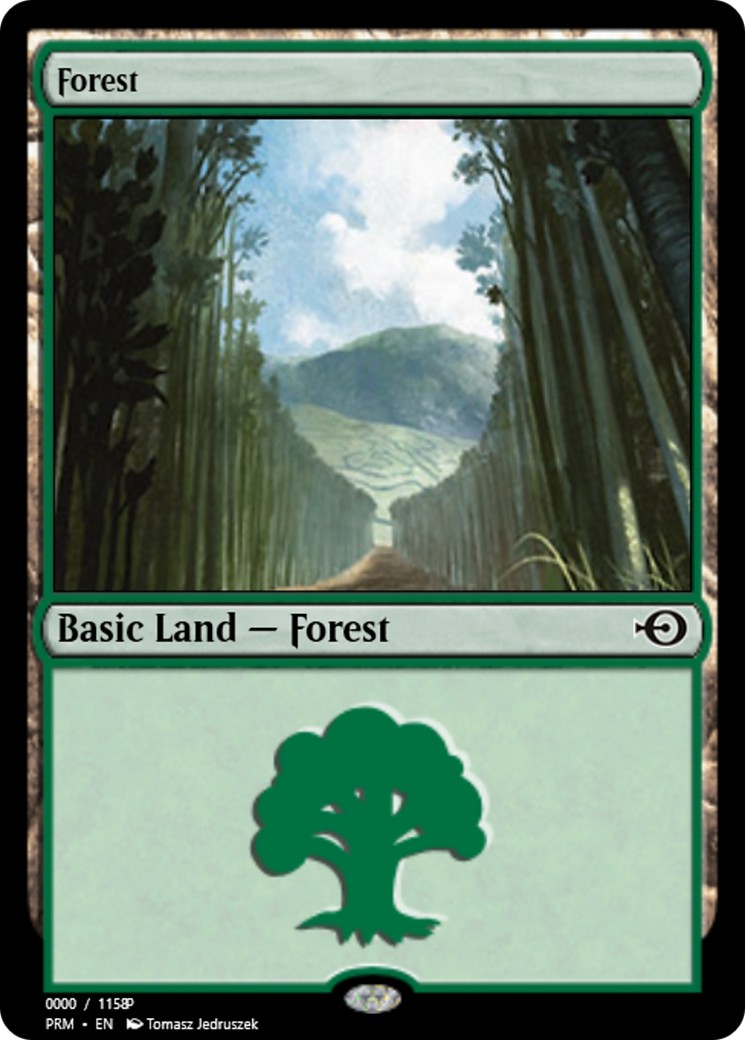 Forest - Image 1
