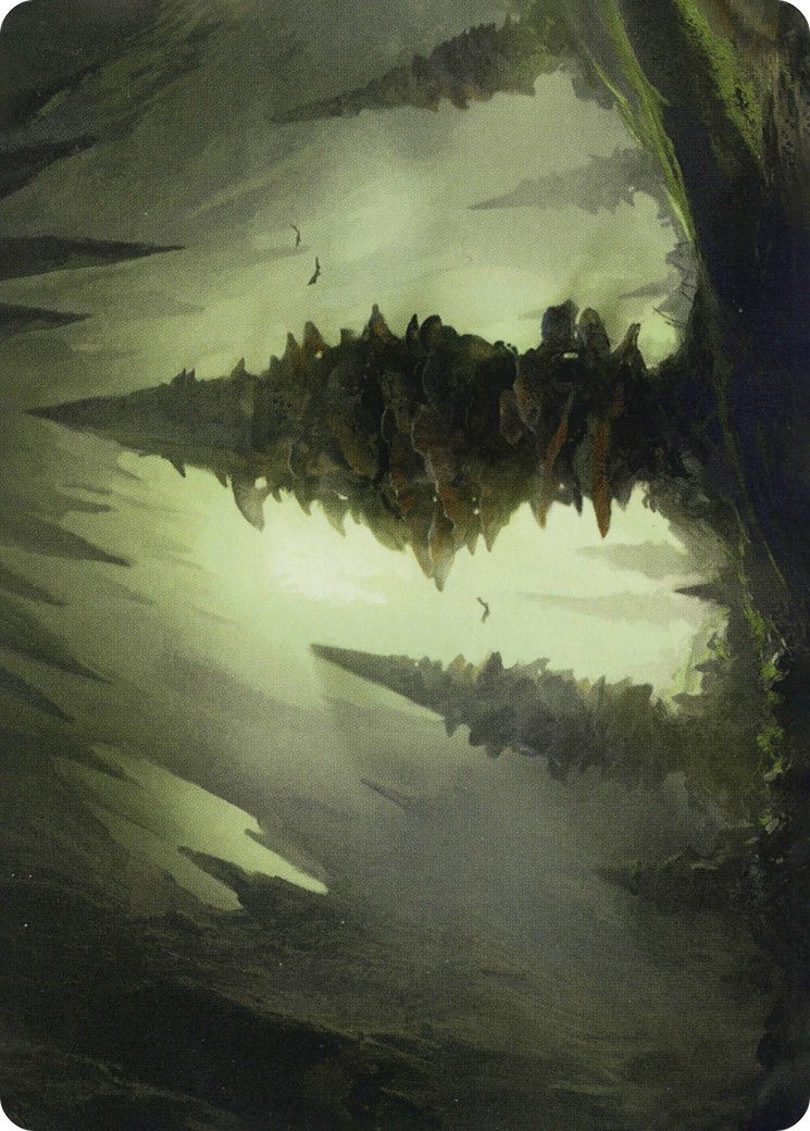 Forest // Forest - Image 1