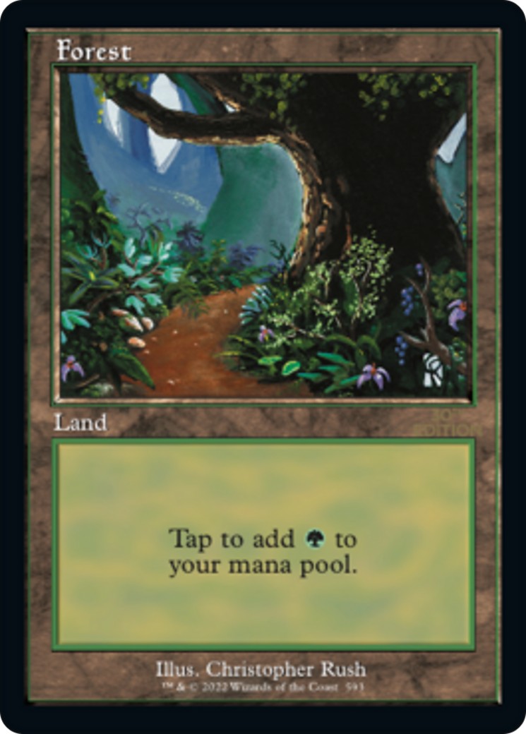 Forest - Image 1