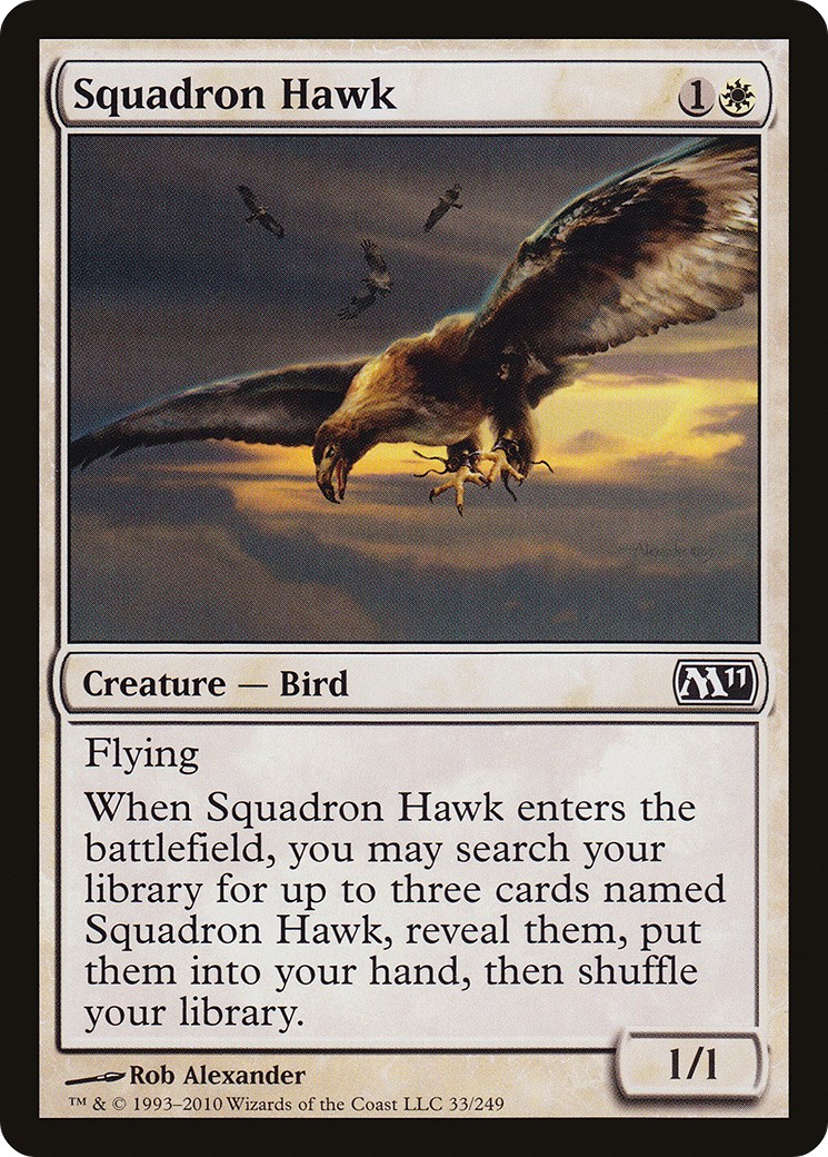 Squadron Hawk - Image 1