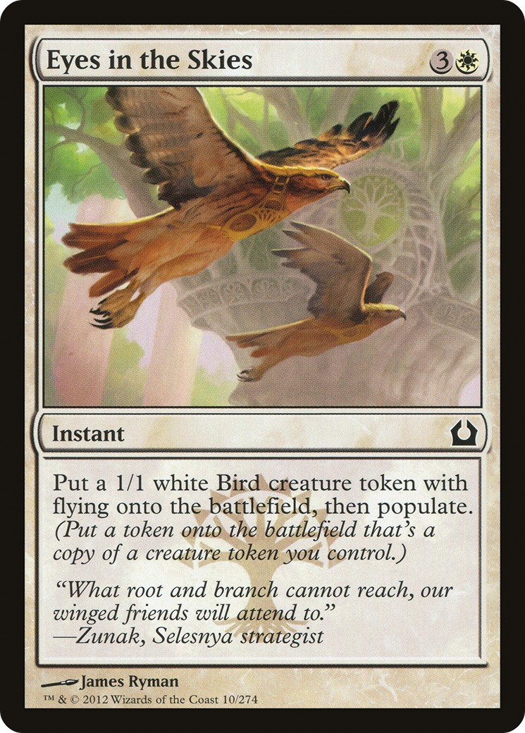Eyes in the Skies - Image 1