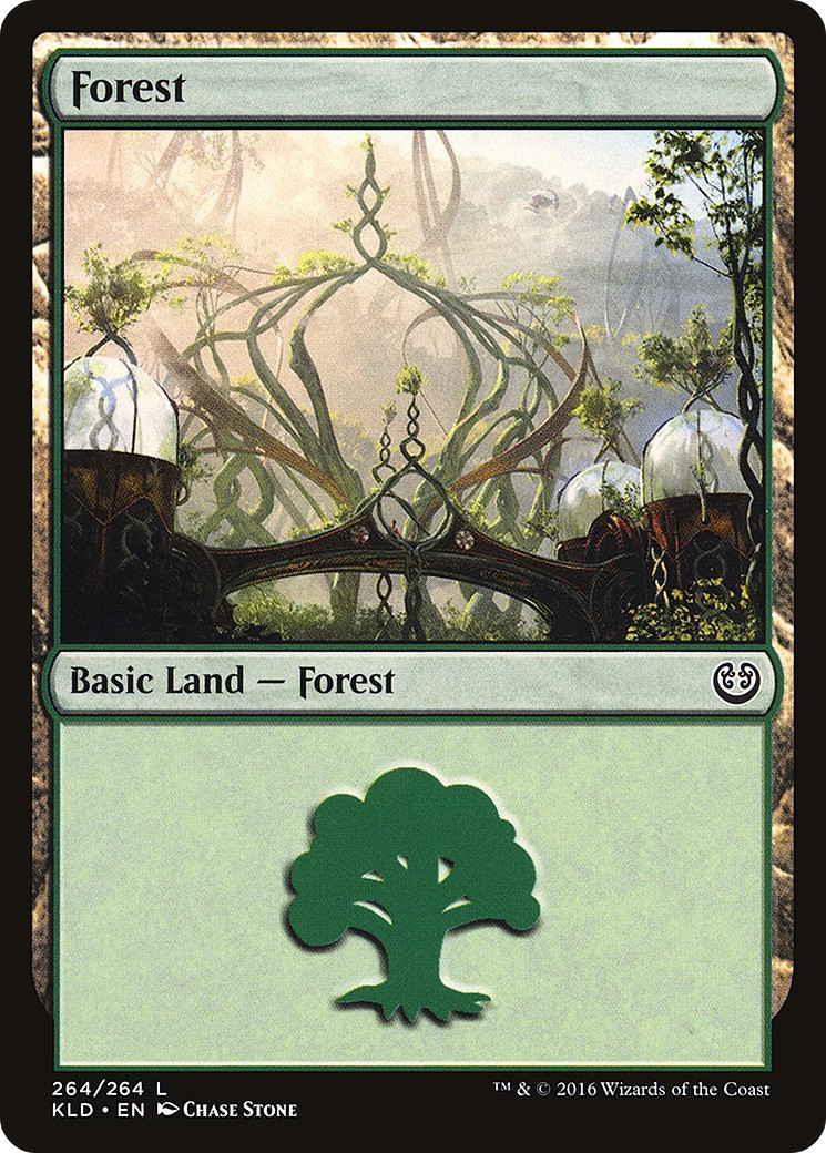 Forest - Image 1
